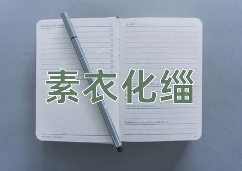 成语素衣化缁