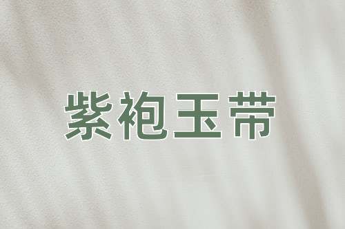 成语紫袍玉带