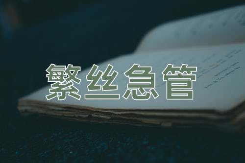成语繁丝急管