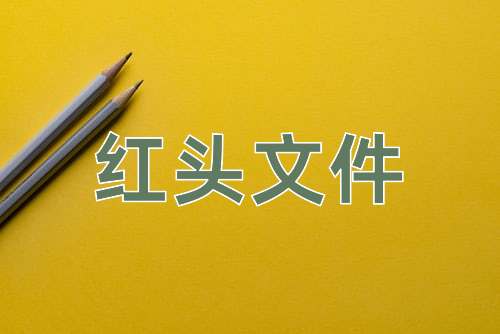 成语红头文件