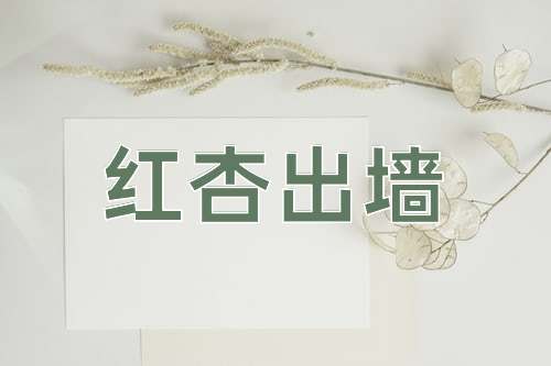 成语红杏出墙