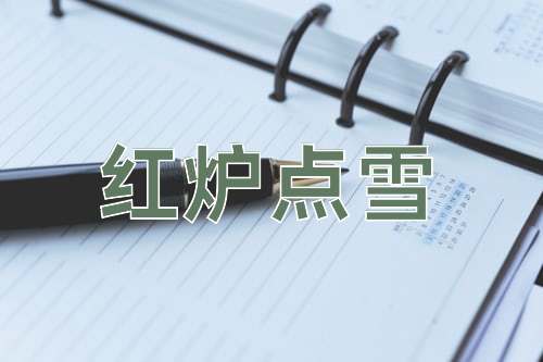 成语红炉点雪