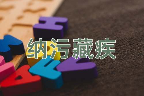 成语纳污藏疾
