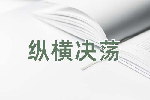 成语纵横决荡