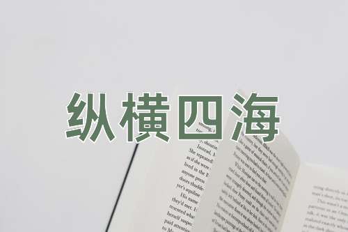 成语纵横四海