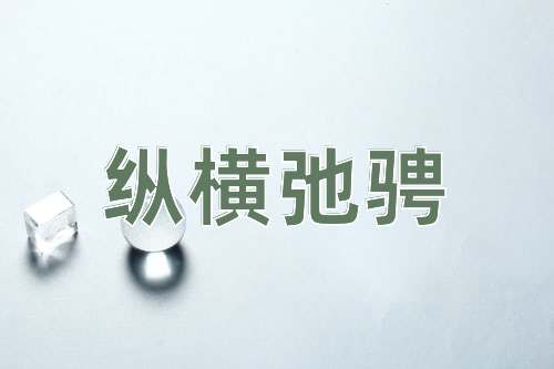 成语纵横弛骋