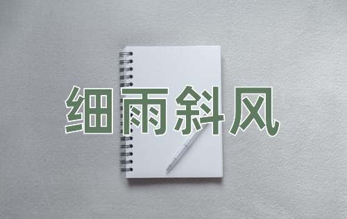 成语细雨斜风