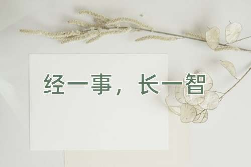 成语经一事，长一智