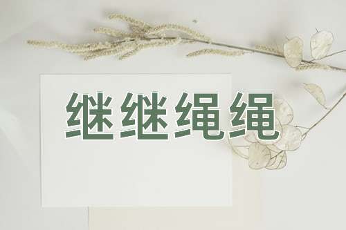成语继继绳绳