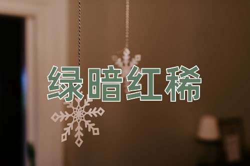 成语绿暗红稀