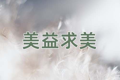 成语美益求美