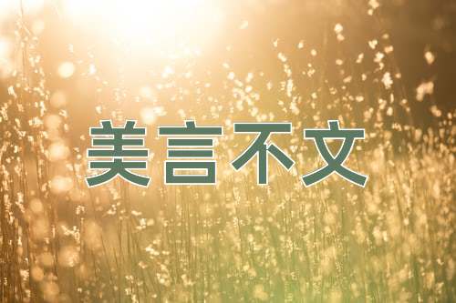 成语美言不文