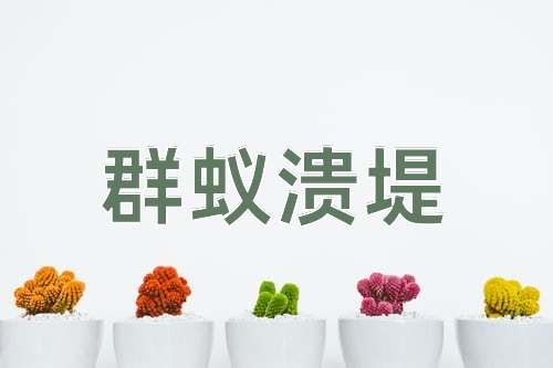 成语群蚁溃堤