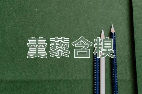 成语羹藜含糗