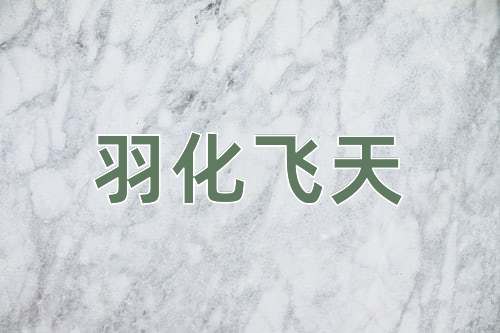 成语羽化飞天