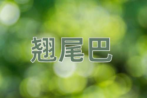 成语翘尾巴