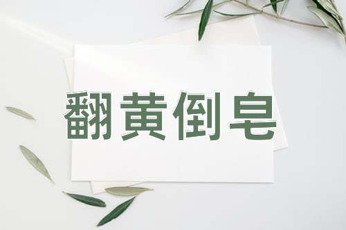 成语翻黄倒皂