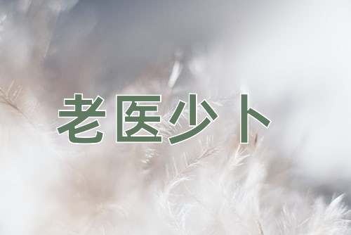 成语老医少卜