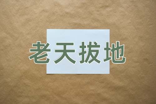 成语老天拔地