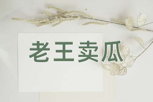 成语老王卖瓜