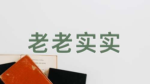 成语老老实实