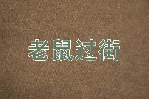 成语老鼠过街