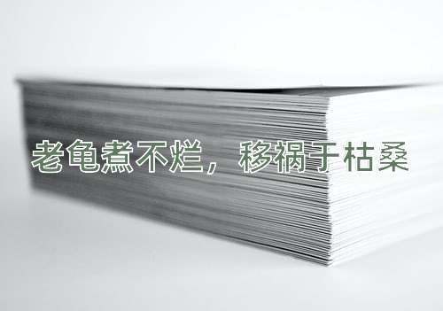 成语老龟煮不烂，移祸于枯桑