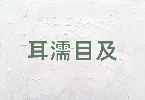 成语耳濡目及