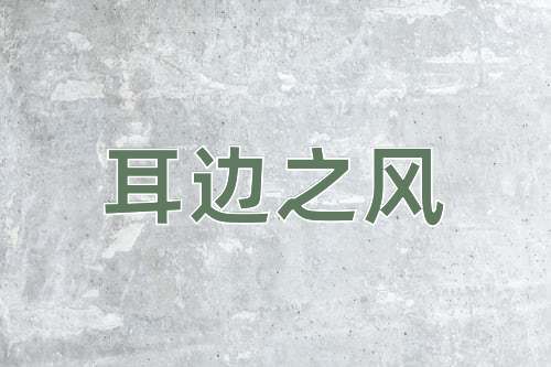 成语耳边之风