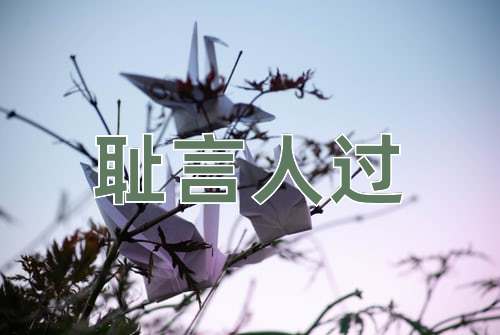 成语耻言人过