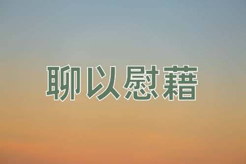 成语聊以慰藉