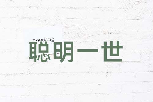成语聪明一世