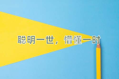 成语聪明一世，懵懂一时