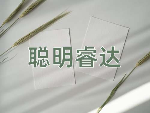 成语聪明睿达
