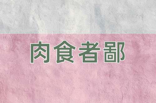 成语肉食者鄙
