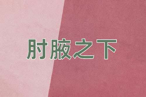 成语肘腋之下