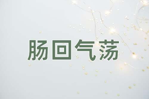 成语肠回气荡