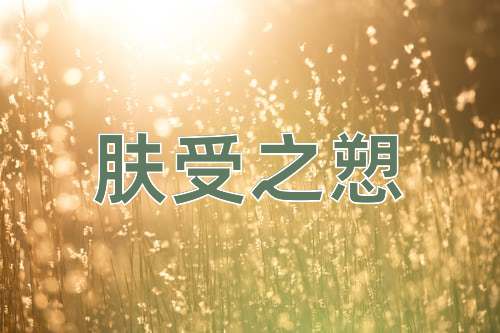 成语肤受之愬