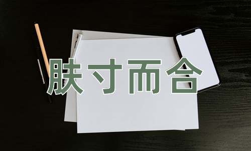 成语肤寸而合