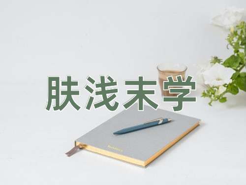 成语肤浅末学
