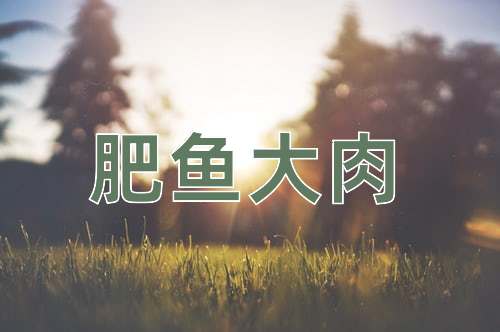 成语肥鱼大肉
