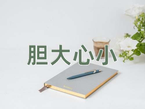 成语胆大心小