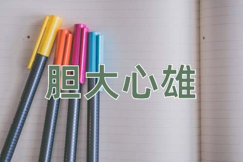 成语胆大心雄