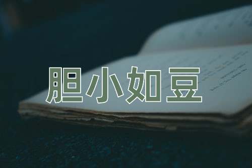 成语胆小如豆
