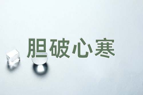 成语胆破心寒