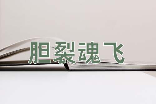 成语胆裂魂飞