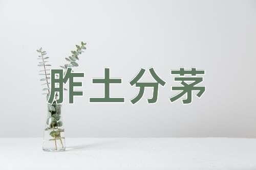 成语胙土分茅