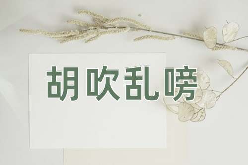 成语胡吹乱嗙