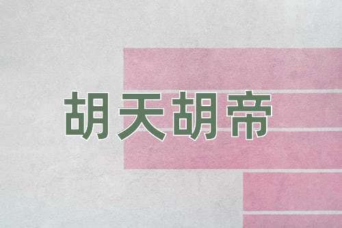 成语胡天胡帝