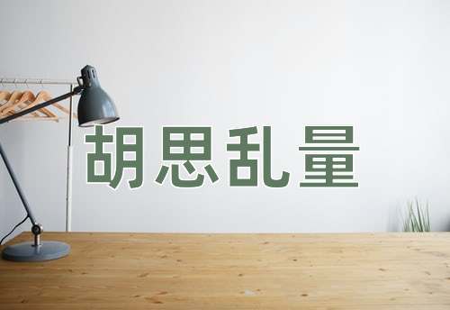 成语胡思乱量